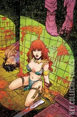 Variant Cover for Samurai Sonja #1
