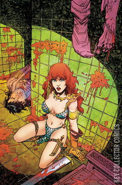 Variant Cover for Samurai Sonja #1