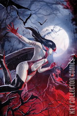 Variant Cover for Vampirella vs. Purgatori #2