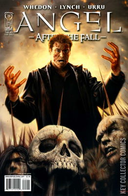 Angel: After the Fall