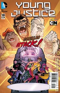 Young Justice #18