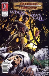 Dungeons & Dragons: Where Shadows Fall #2