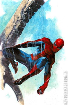 Variant Cover for Amazing Spider-Man #87