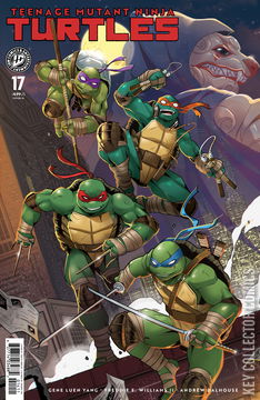 Variant Cover for Teenage Mutant Ninja Turtles #17