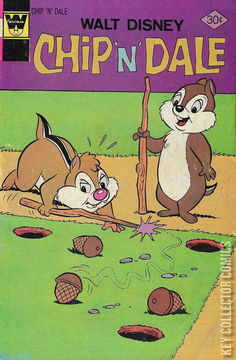 Variant Cover for Chip 'n' Dale #46
