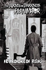 Variant Cover for Army of Darkness vs. Reanimator: Necronomicon Rising #3