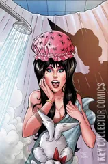 Variant Cover for Elvira in Horrorland #1