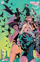 Variant Cover for Birds of Prey #13