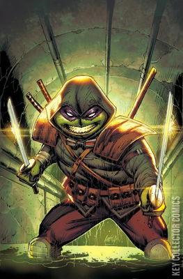 Teenage Mutant Ninja Turtles: The Last Ronin