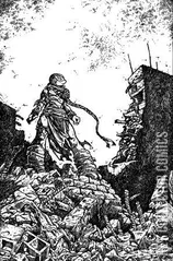 Variant Cover for Teenage Mutant Ninja Turtles #142