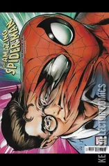 Variant Cover for Amazing Spider-Man #29