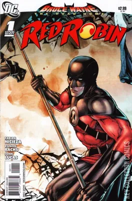Bruce Wayne: The Road Home - Red Robin