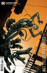 Variant Cover for Catwoman #22