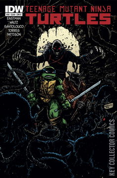 Variant Cover for Teenage Mutant Ninja Turtles #36