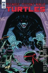 Cover for Teenage Mutant Ninja Turtles #85