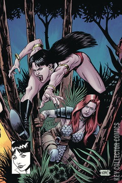 Variant Cover for Vampirella / Red Sonja #8