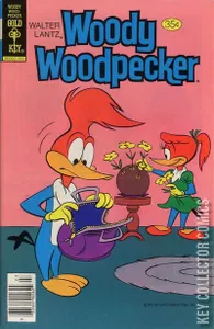 Woody Woodpecker #176