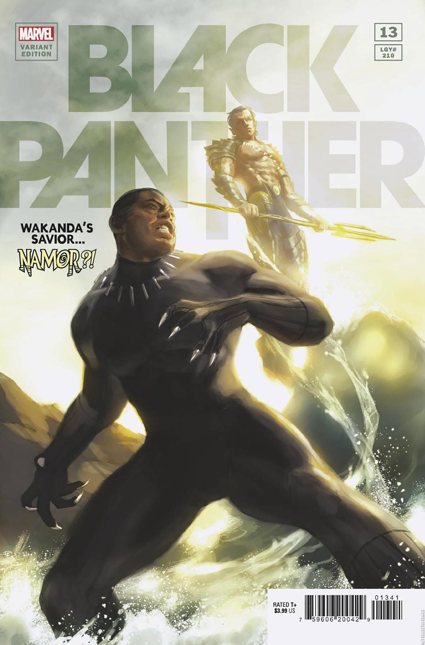 Cover art for Black Panther #13 