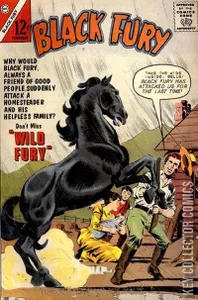 Black Fury #40