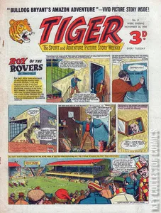 Tiger #11