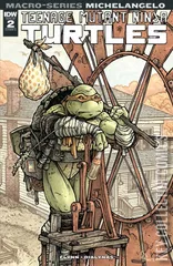 Cover for Teenage Mutant Ninja Turtles Macro-Series #2