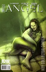 Cover for Angel: After the Fall #24