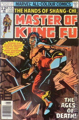 Master of Kung Fu