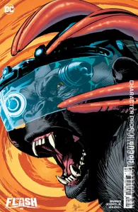 Flash #6