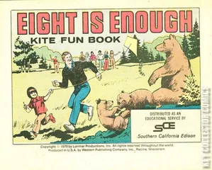 Cover for Eight Is Enough Kite Fun Book
