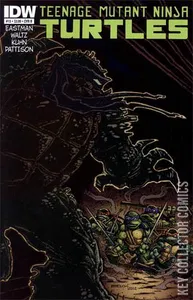 Teenage Mutant Ninja Turtles #15