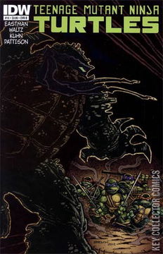 Variant Cover for Teenage Mutant Ninja Turtles #15