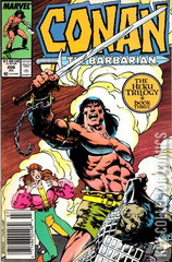Variant Cover for Conan the Barbarian #208