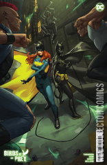 Variant Cover for Birds of Prey #9