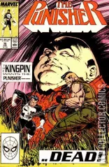 Cover for Punisher #16