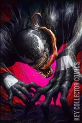 Variant Cover for Venom #28