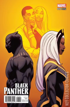 Variant Cover for Black Panther #13