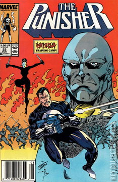 Variant Cover for Punisher #22