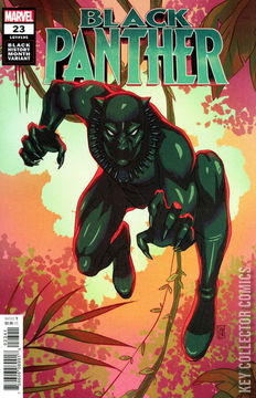 Variant Cover for Black Panther #23