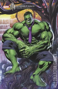Incredible Hulk, The #2