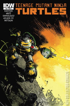 Variant Cover for Teenage Mutant Ninja Turtles #45