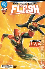 Cover for Flash #25