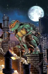 Variant Cover for Teenage Mutant Ninja Turtles #101