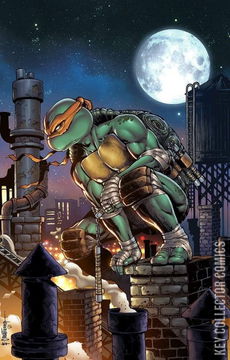 Variant Cover for Teenage Mutant Ninja Turtles #101