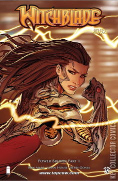 Variant Cover for Witchblade #182