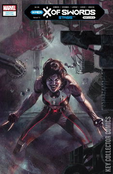 Variant Cover for X of Swords: Stasis #1