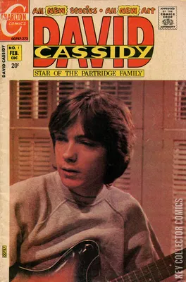 David Cassidy