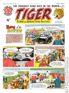 Tiger #243