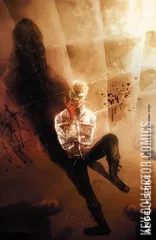 Variant Cover for Angel and Spike #14