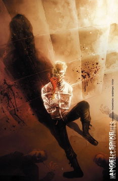 Variant Cover for Angel and Spike #14