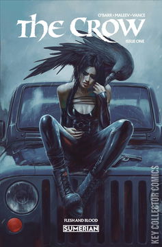 Variant Cover for The Crow: Flesh and Blood #1